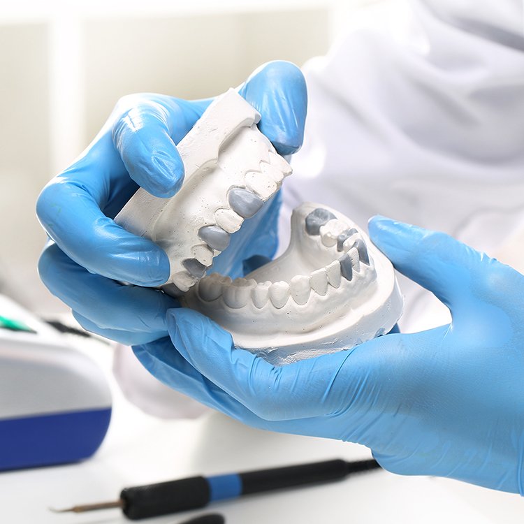 dentalia demo dentures 2 1