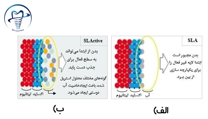 آماده سازی سطح ايمپلنت به روش: الف) SLA و ب)SLActive